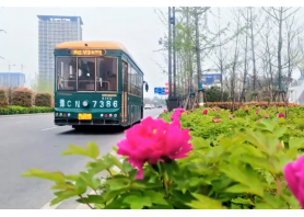 牡丹开出文旅新意 k8凯发天生赢家·一触即发助洛阳迎盛会